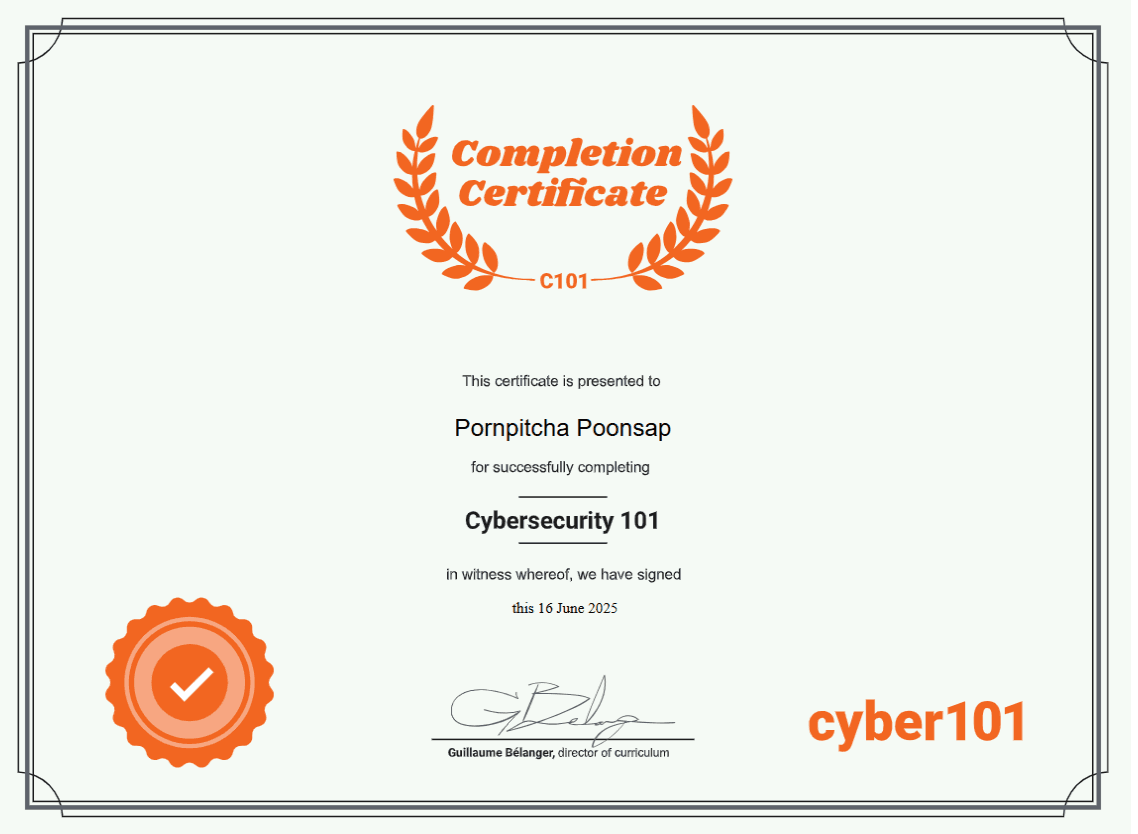 Cybersecurity 101